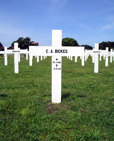 bickes.c.a.2005.jpg
