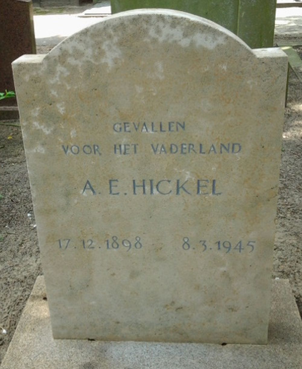 hickel.a.e..jpg