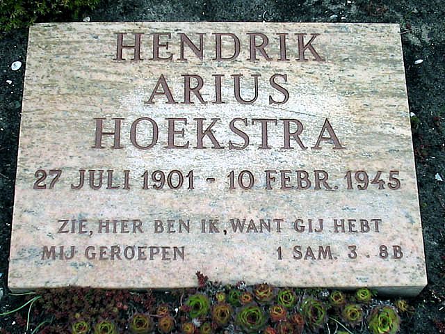 Hoekstra H.A.jpg