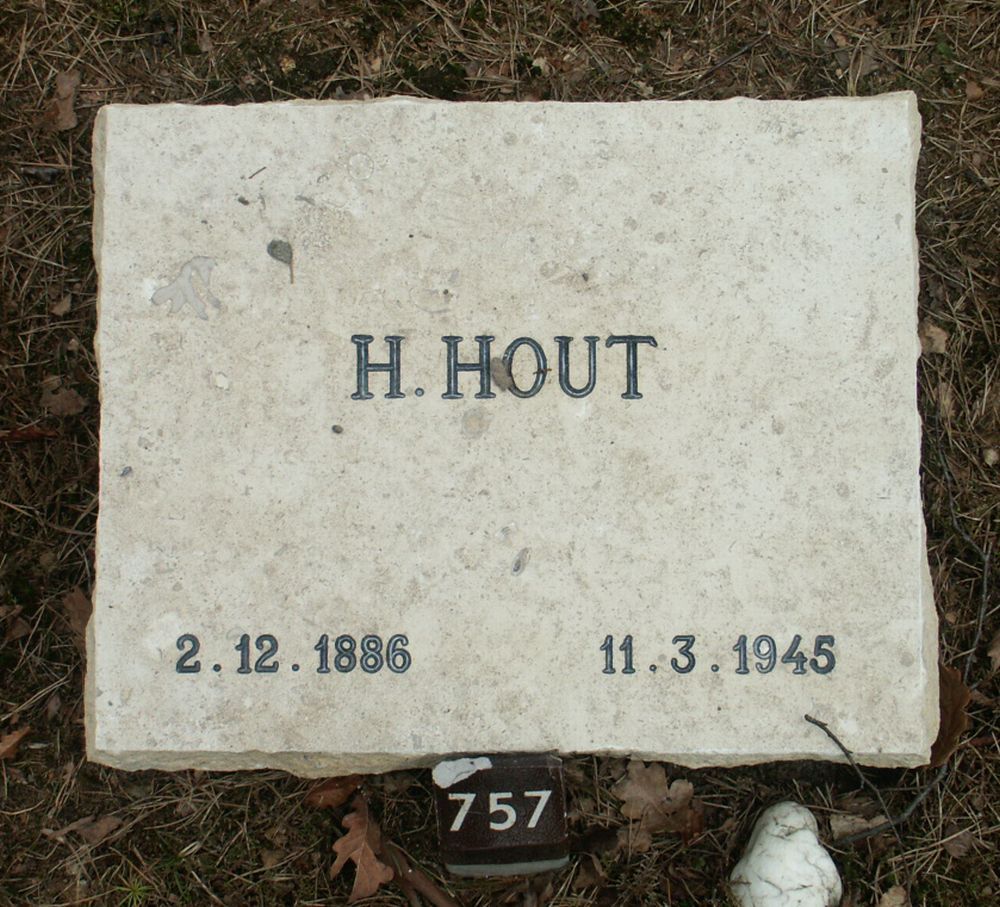 hout.h.2006.jpg