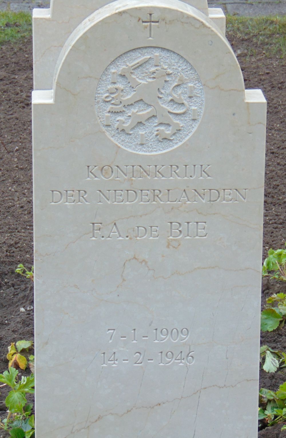 bie.jpg