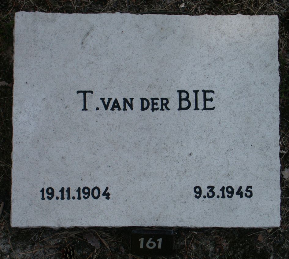 bie.vander.t.jpg
