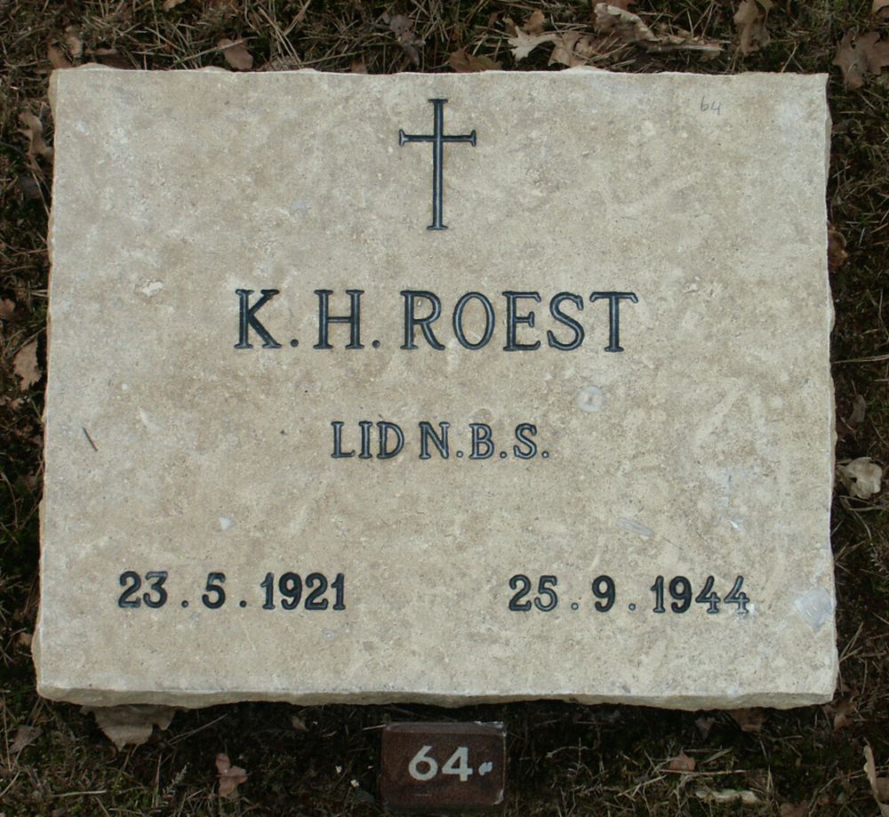 roest.k.h.2006(1).jpg