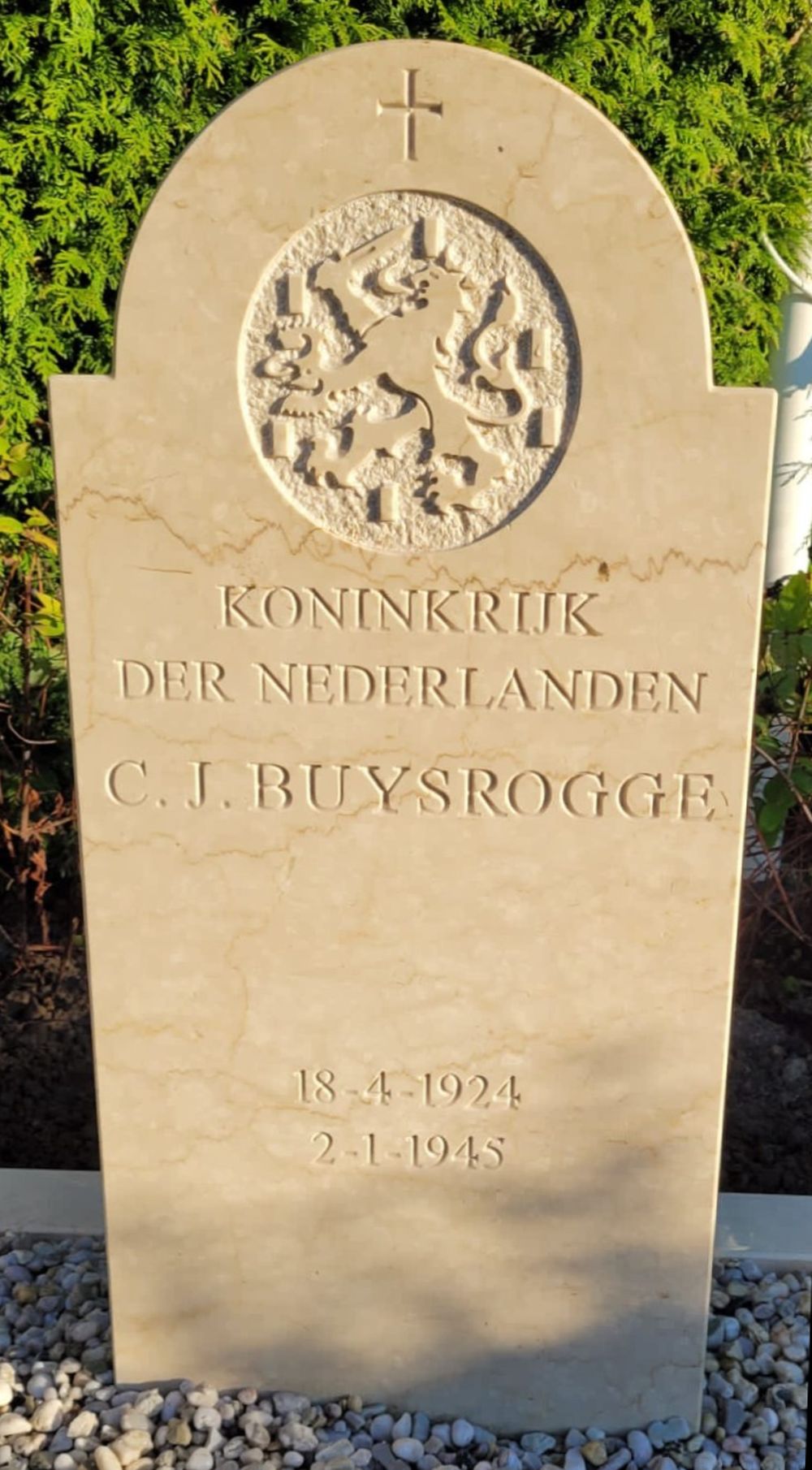 Buysrogge.jpg