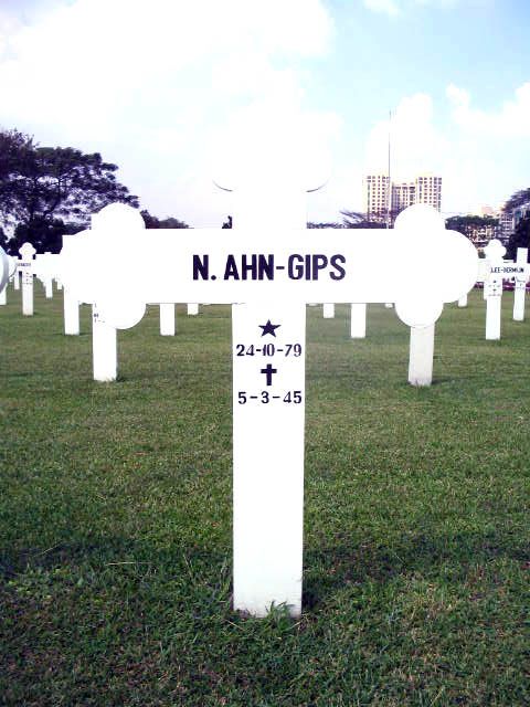 ahn.gips.n.2005.jpg