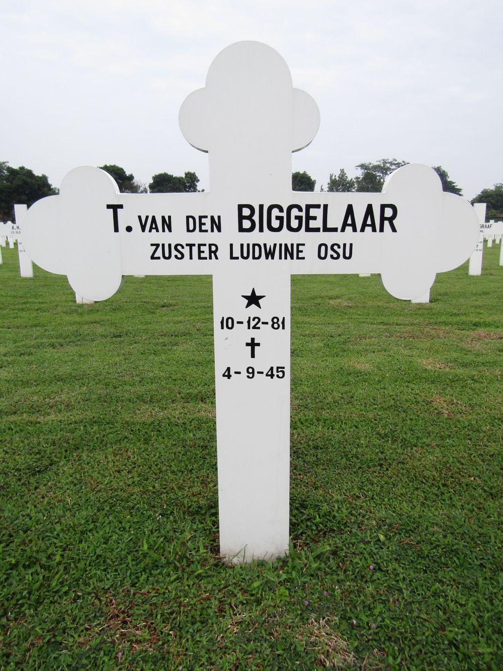 Graffoto T. van den Biggelaar.jpg