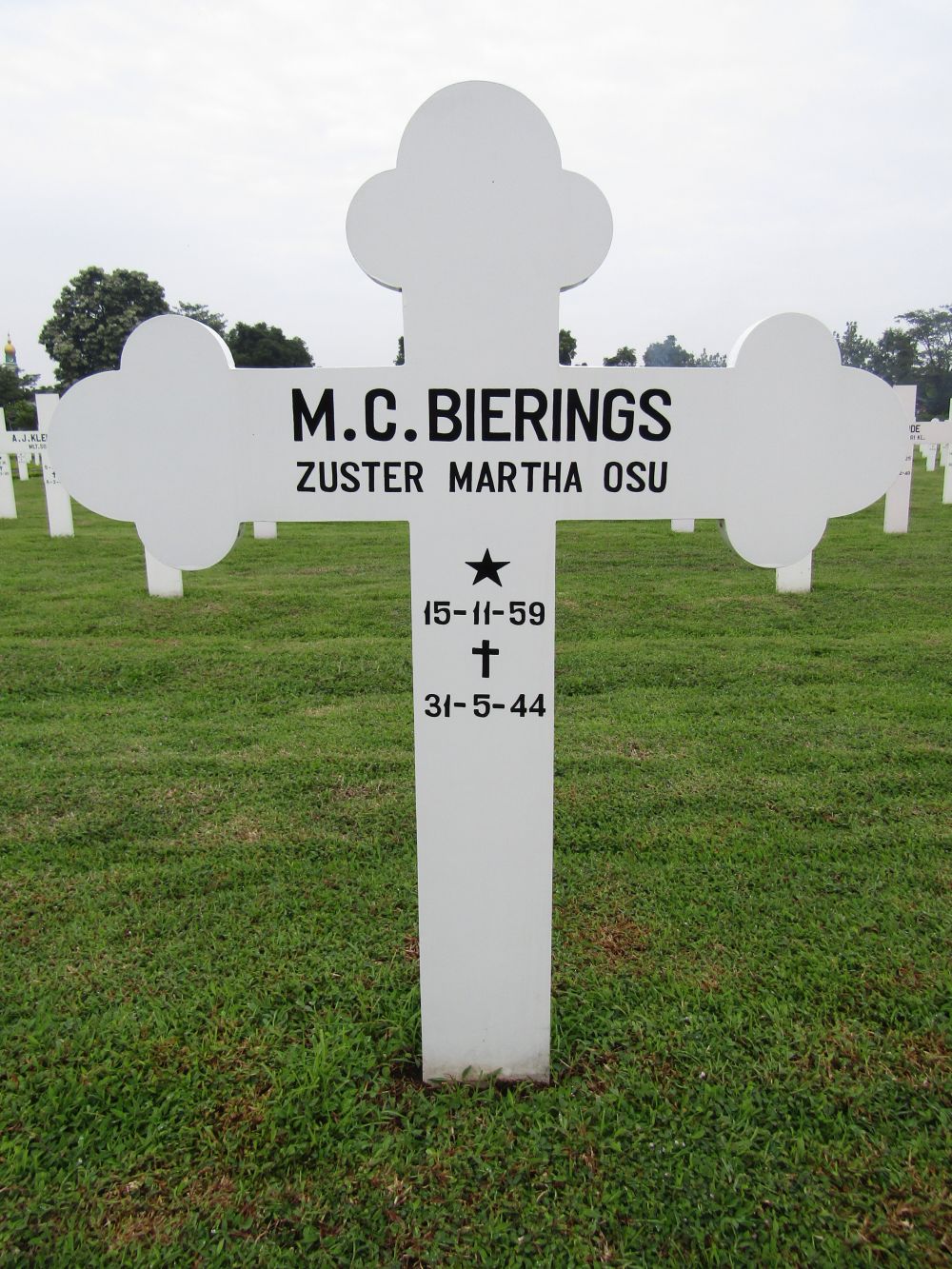 Graffoto M.C. Bierings.jpg