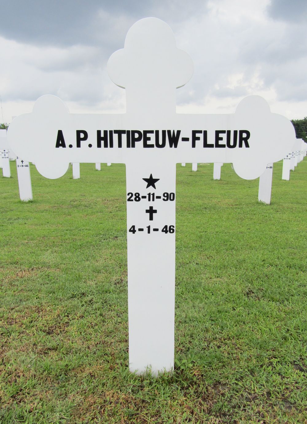 Graffoto A.P.Hitipeuw-Fleur.jpg