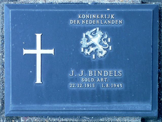 Bindels.J.J.2008.jpg