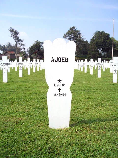 ajoeb.2005.jpg