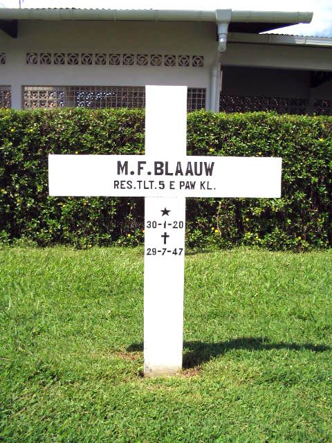 blauw.m.f.2005.jpg