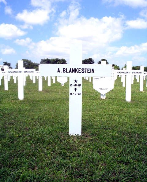 blankestein.a.2005.jpg