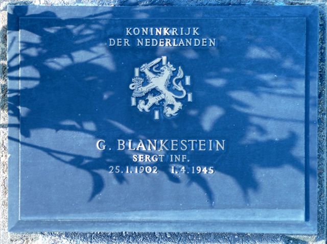 Blankestein.G.2008.jpg