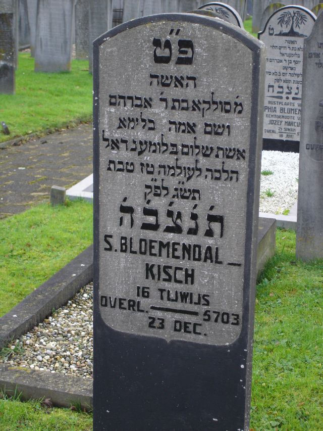 bloemendal-kisch.s.2008.jpg