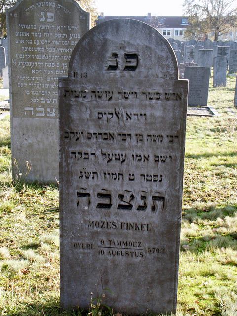 Finkel. M.2004.jpg