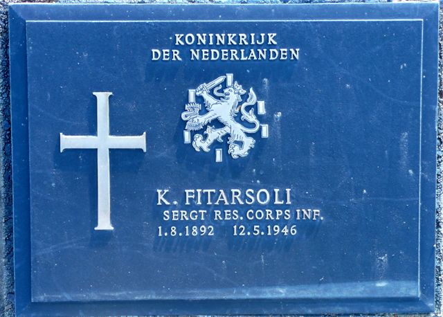 Fitarsoli.K.2008.jpg