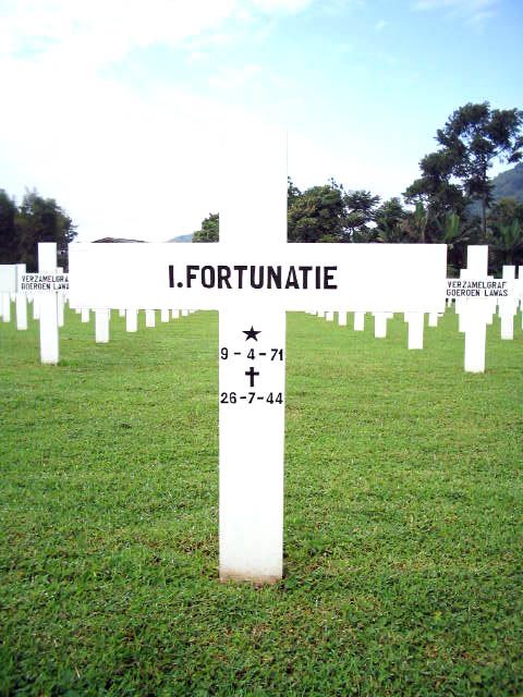 fortunatie.i.2005.jpg