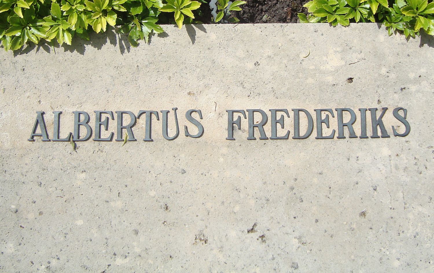 frederiks.a..jpg