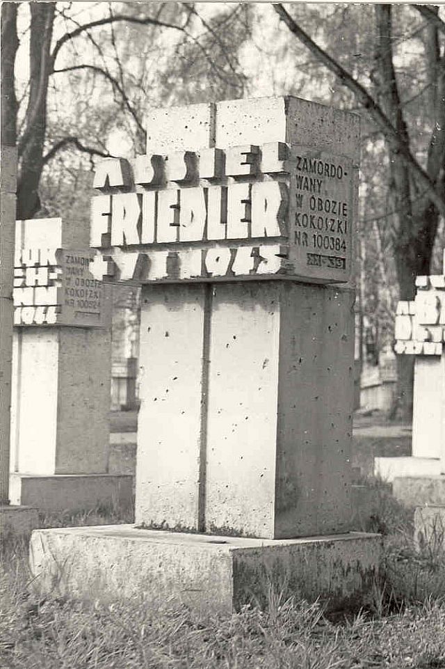 A.Friedler.jpg