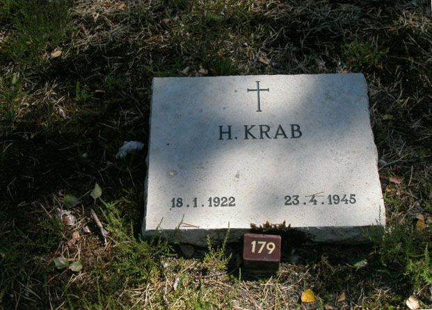 H.krab.jpg
