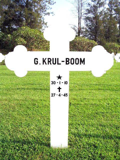 krul.boom.g.200.jpg.JPG