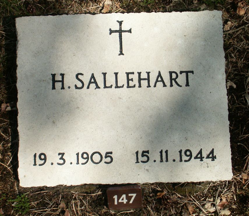 sallehart.h.jpg