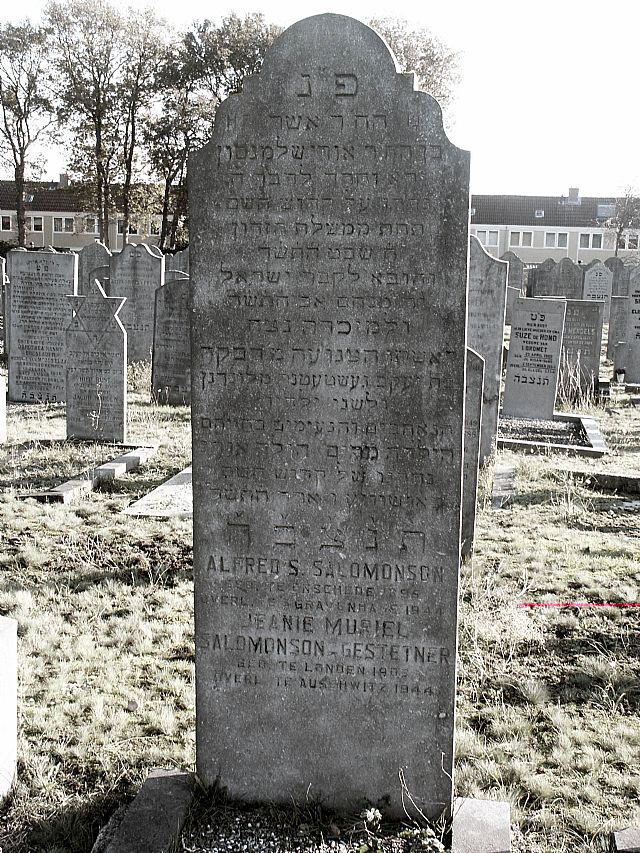 Salomonson.A.S.2004.jpg