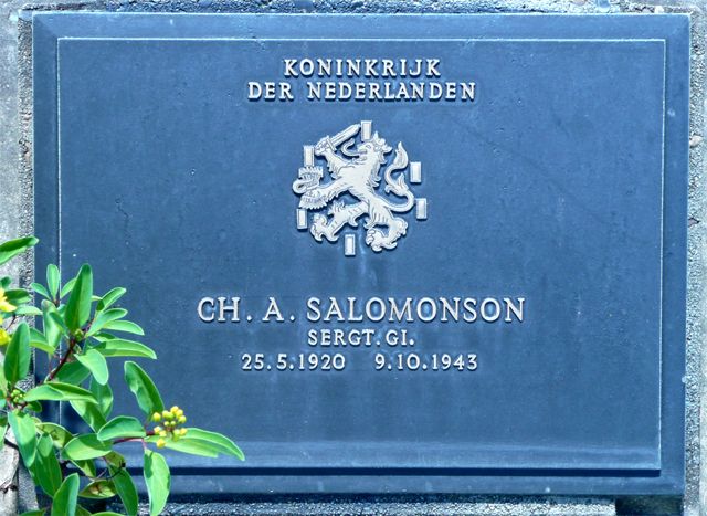 Salomonson.C.A.2008.jpg