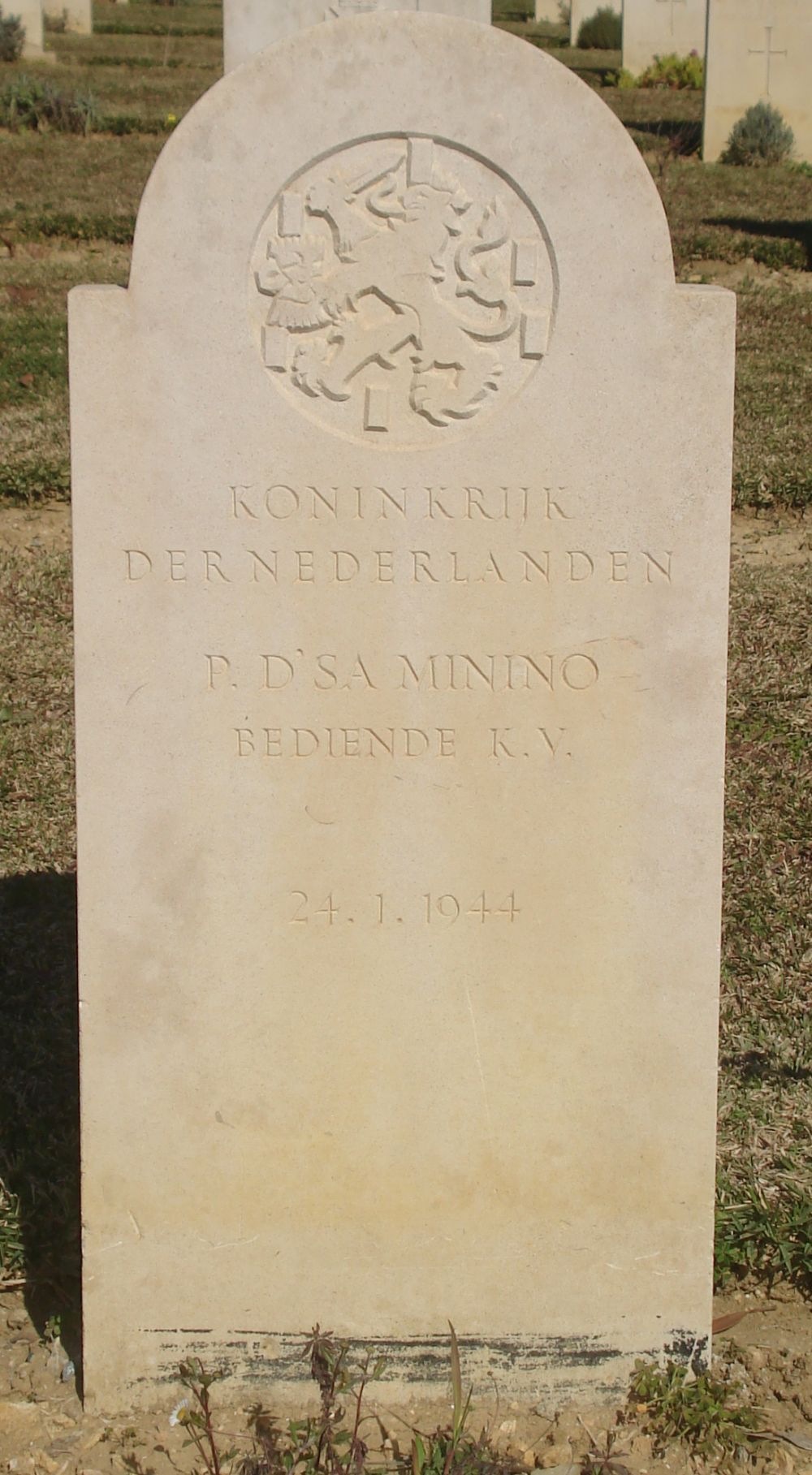 minino.2007.jpg