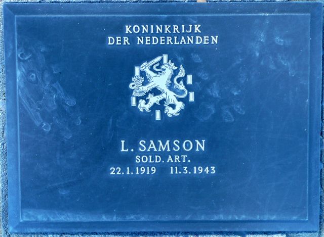 Samson.L.2008.jpg