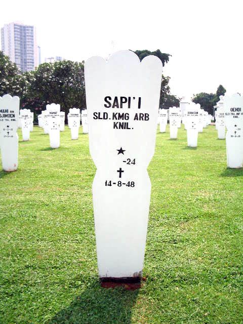 sapi i.2005.jpg