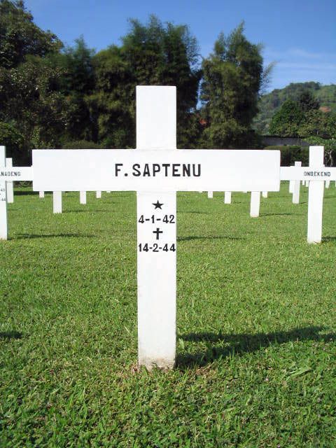 saptenu.f.2005.jpg