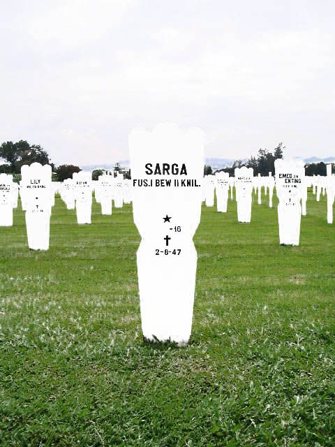 sarga.2005.jpg