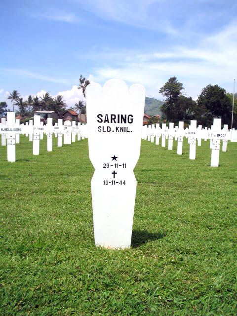 saring.2005.jpg