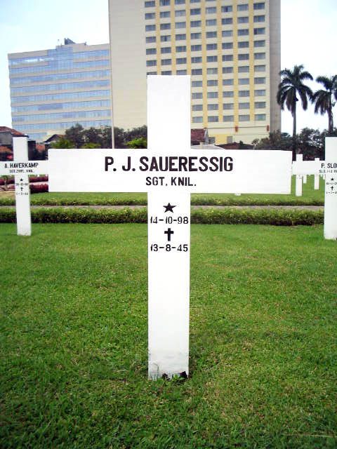 saueressig.p.j.2005.jpg