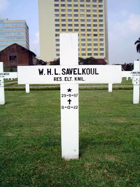savelkoul.w.h.l.2005.jpg