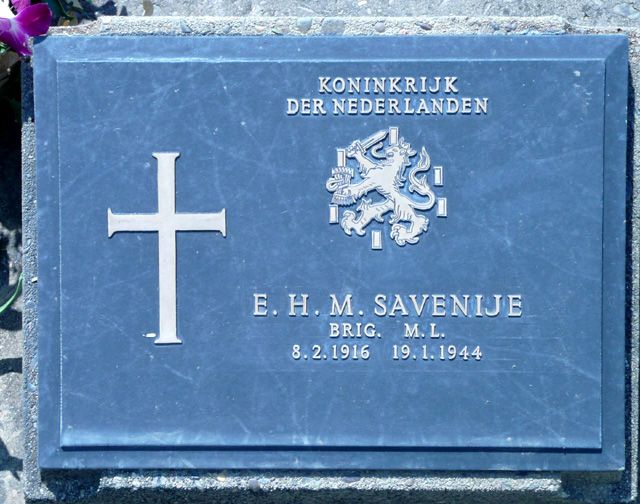 Savenije.E.H.M.2008.jpg
