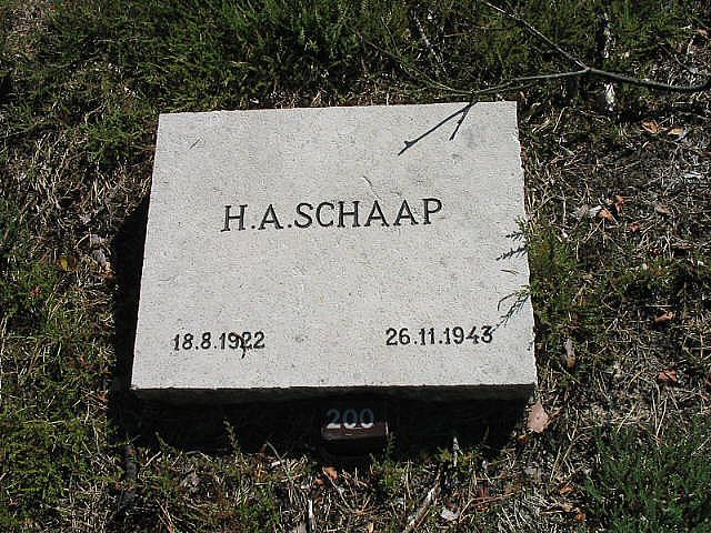 H.A.Schaap.jpg