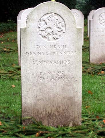 Schaaphok M.jpg