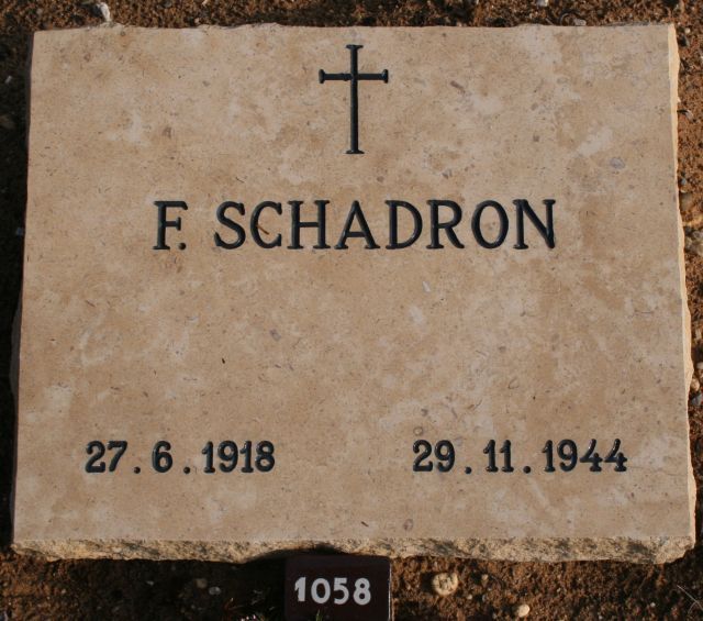 schadron.f.2008.jpg