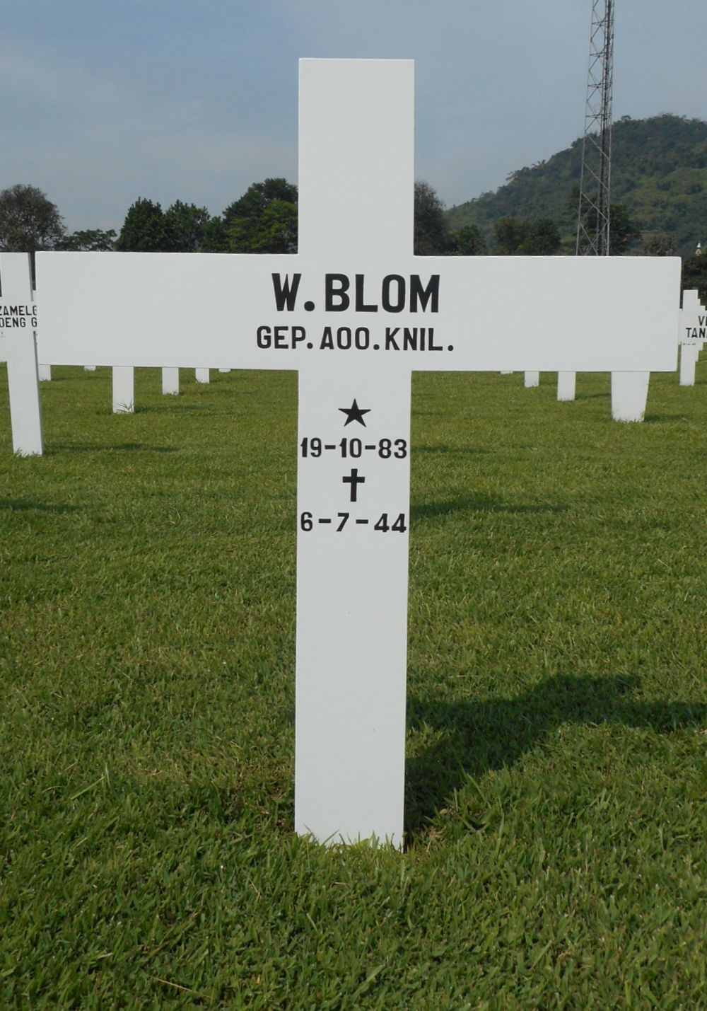 blom.w..jpg