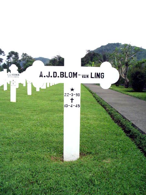 blom.ling.van.a.j.d.2005.jpg