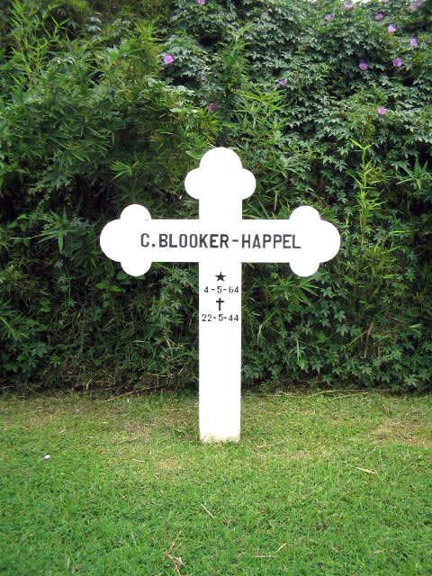 blooker.happel.c.2005.jpg