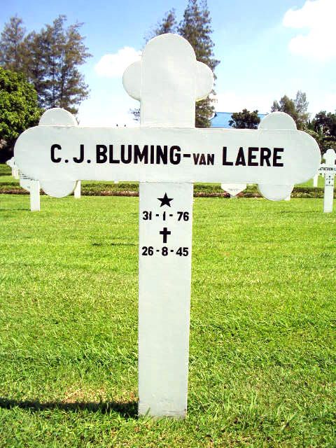 bluming van laere c.j.2004.jpg