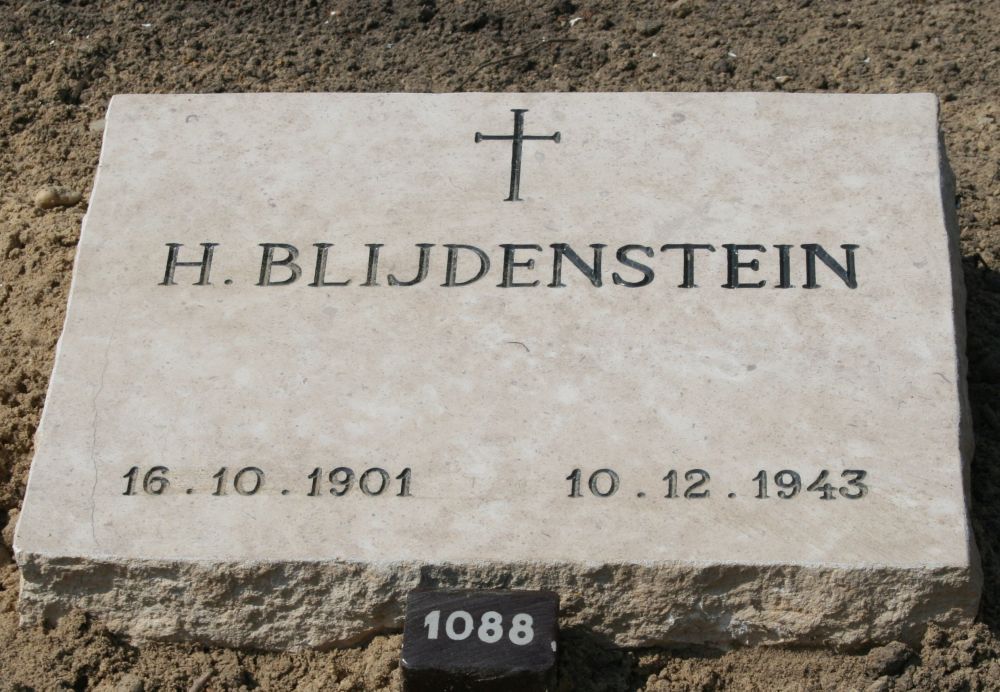 blijdenstein.h.2009.jpg