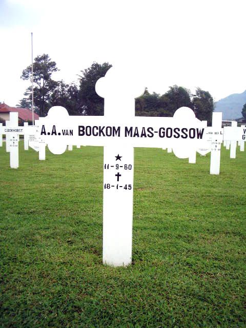 bockom maas.van.gossow.a.a.2005.jpg