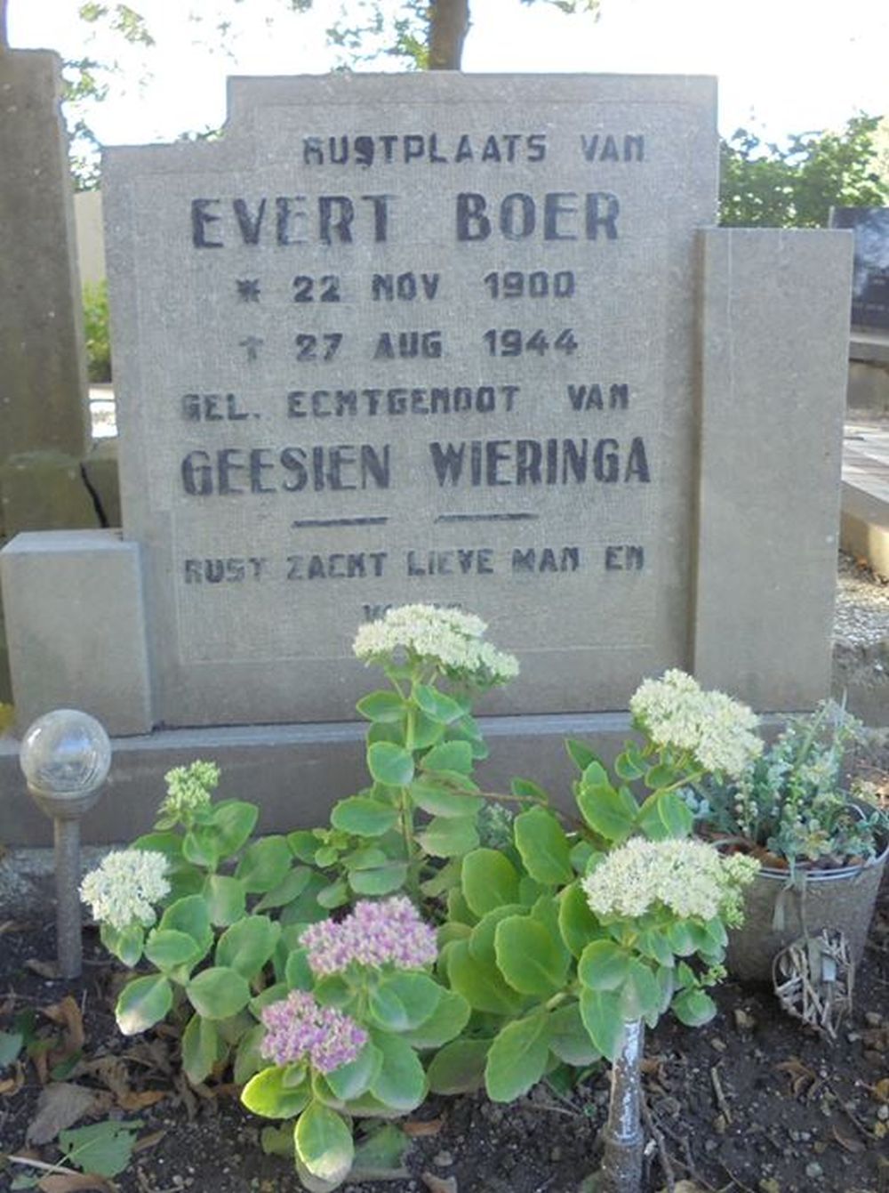 boer.e..jpg