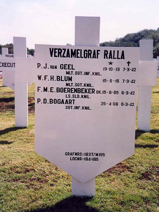 verzamelgr12(2).jpg