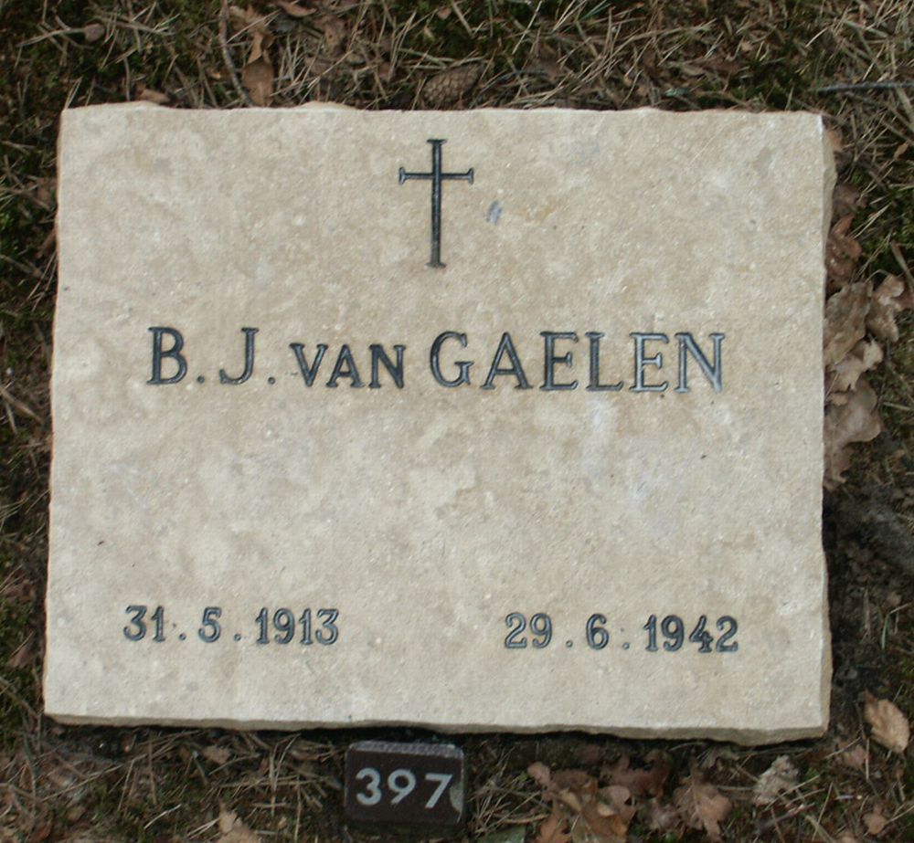 gaelen.b.j.van.2006.jpg