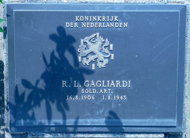 Gagliardi.R.L.2008.jpg